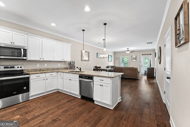 3875 Valley View Ct, Gainesville, GA 30501 - kitchen featuring stainless steel appliances, a peninsula, open floor plan, dark wood-style flooring, and recessed lighting