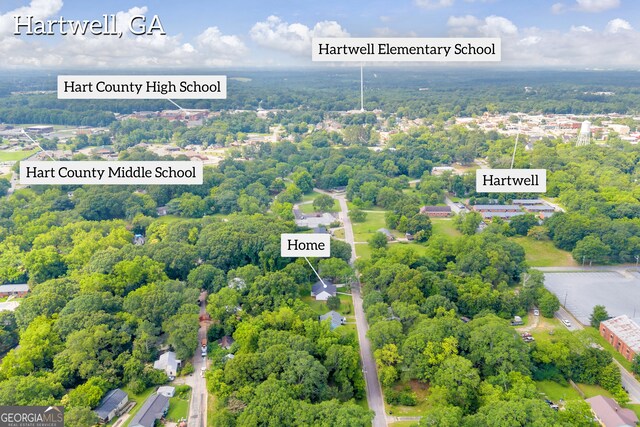 350 Maple St, Hartwell, GA 30643 - bird's eye view of a heavily wooded area