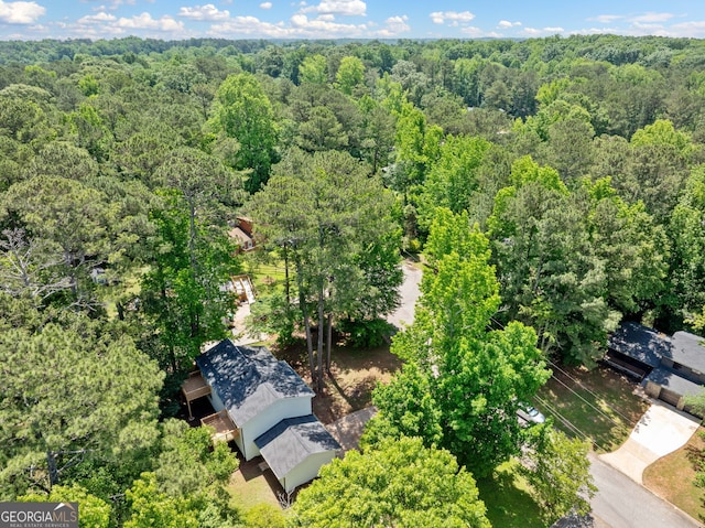 4058 Daron Ct, Ellenwood, GA 30294 - bird's eye view of a forest