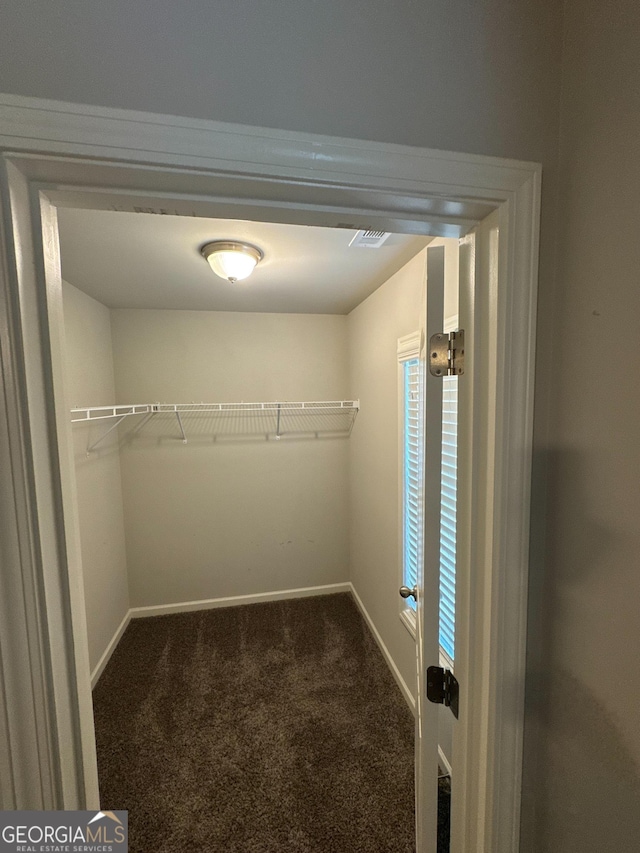 419 Woodmill Way SW, South Fulton, GA 30331 - walk in closet featuring carpet