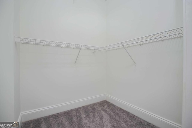 5995 Azalea Ridge Dr, Douglasville, GA 30135 - walk in closet with carpet