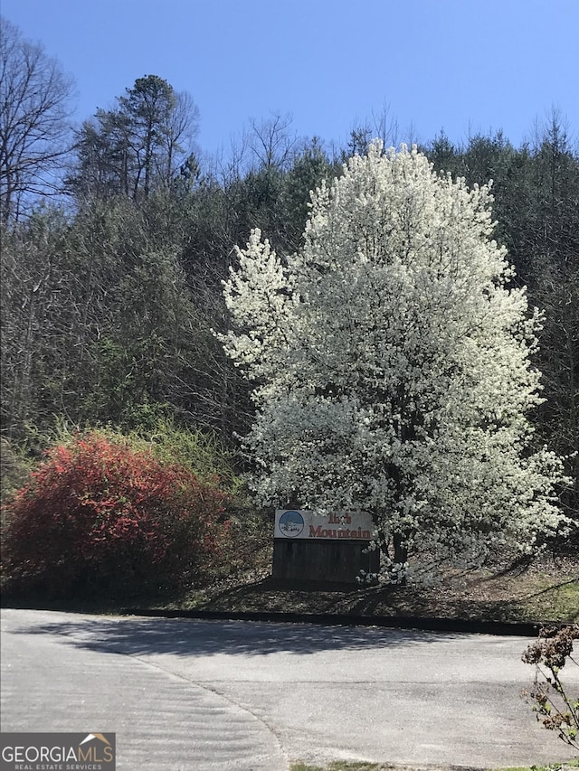 16 Tuts Mountain Rd, Clayton, GA 30525 - view of asphalt street