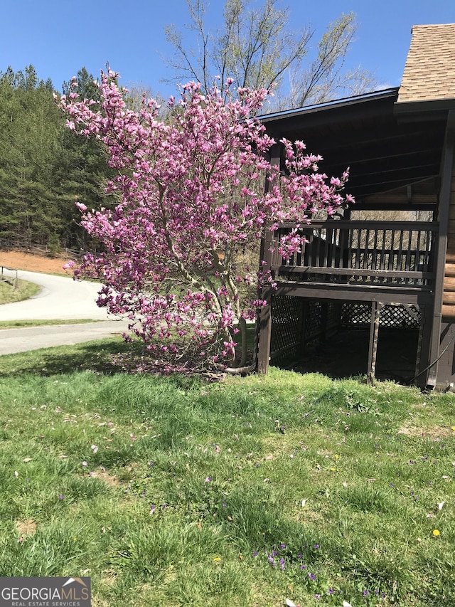 16 Tuts Mountain Rd, Clayton, GA 30525 - view of grassy yard