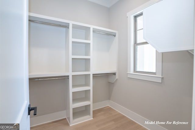 spacious closet featuring wood finished floors