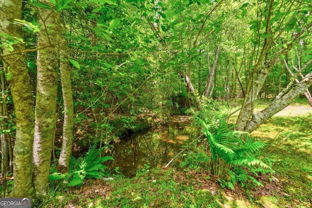 271 The Builders Hl, Morganton, GA 30560 - view of nature