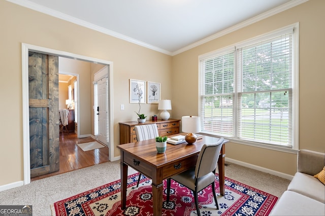 138 Knightwood Pt, Acworth, GA 30101 - carpeted office space with crown molding, healthy amount of natural light, and baseboards