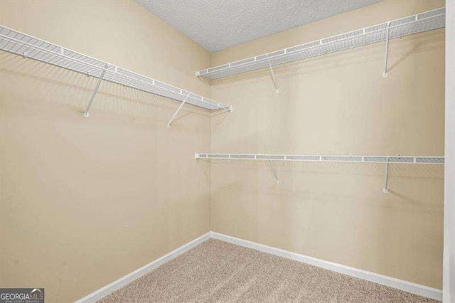 182 Garden Manor Ct, Loganville, GA 30052 - spacious closet featuring carpet