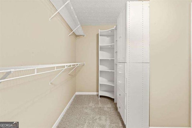 182 Garden Manor Ct, Loganville, GA 30052 - walk in closet featuring carpet