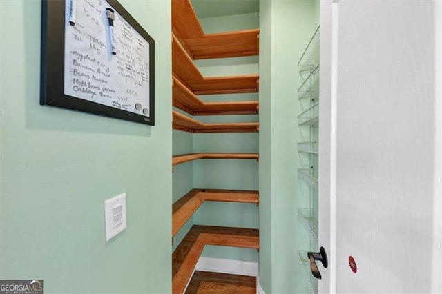 10890 Regal Frst, Suwanee, GA 30024 - view of storage area
