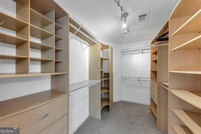 10890 Regal Frst, Suwanee, GA 30024 - spacious closet featuring carpet floors