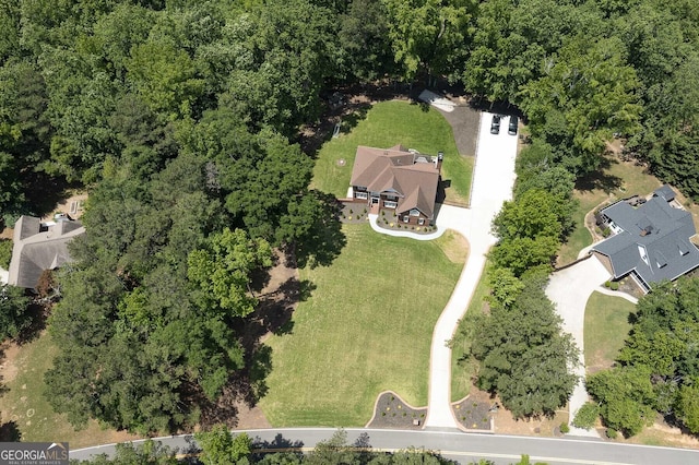 20 Allie Dr, Mcdonough, GA 30252 - aerial view of property's location