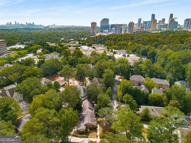 1041 Standard Dr, Brookhaven, GA 30319 - view of property location featuring a skyline view