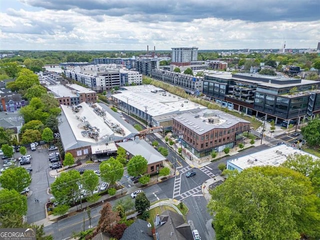 760 Ashland Ave, Atlanta, GA 30307 - view of urban area