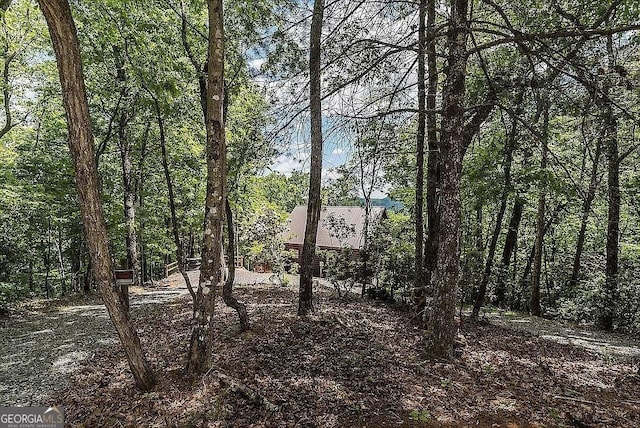 137 Ascherman Ct, Blue Ridge, GA 30513 - view of wooded area