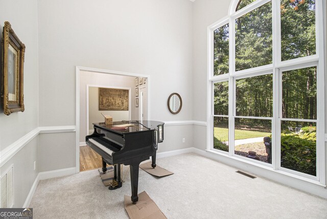3780 Lovers Ln, Monroe, GA 30656 - living area with carpet floors, a towering ceiling, and baseboards