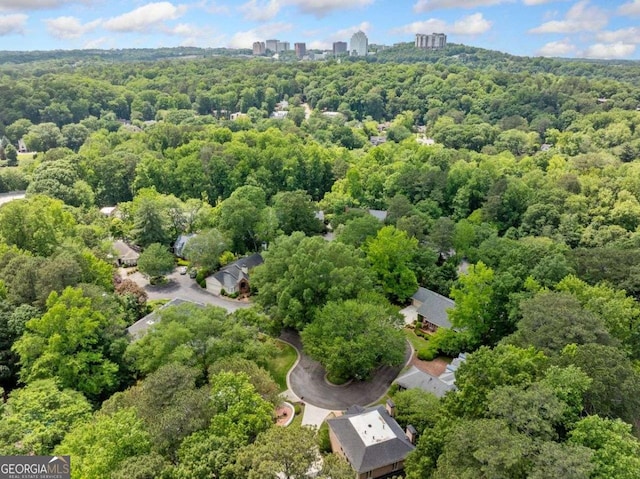 4411 Paces Battle NW, Atlanta, GA 30327 - aerial view of a heavily wooded area