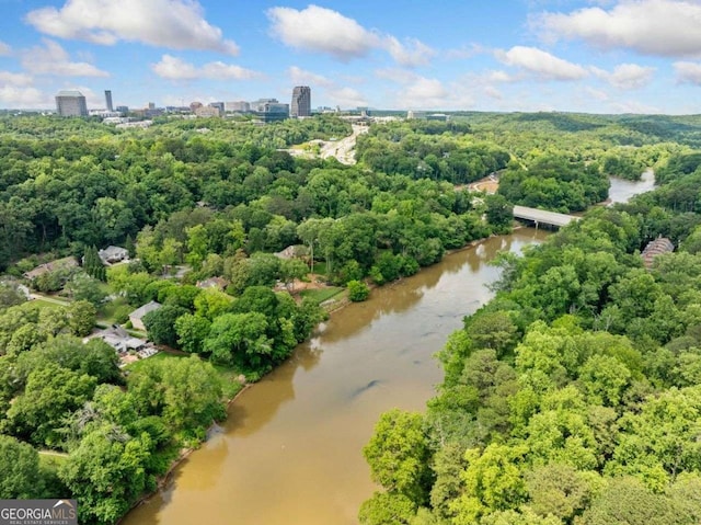 4411 Paces Battle NW, Atlanta, GA 30327 - view of urban area with a large body of water and a forest