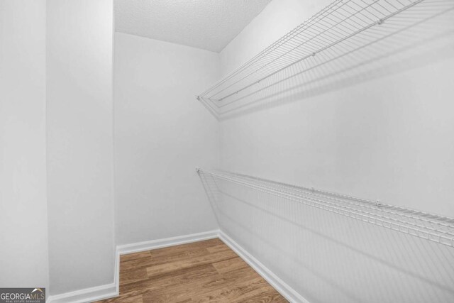 walk in closet with wood finished floors