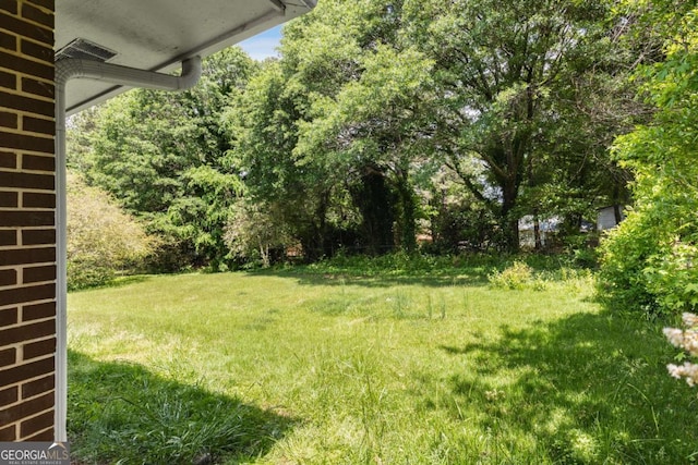 view of green lawn