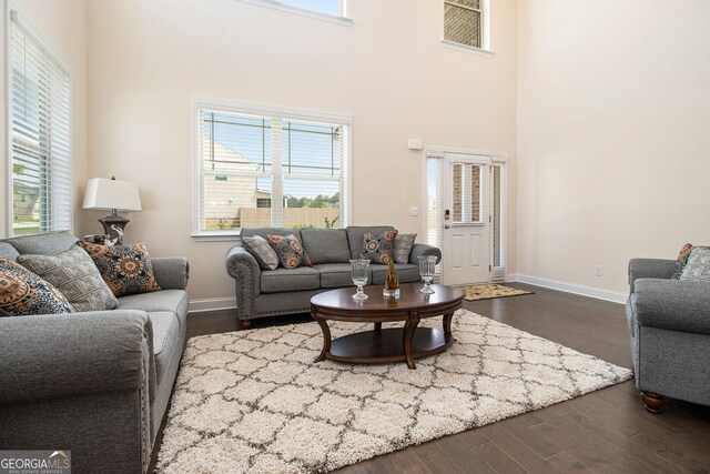 320 Conley Ave, Hampton, GA 30228 - living area featuring dark wood-style floors and a high ceiling