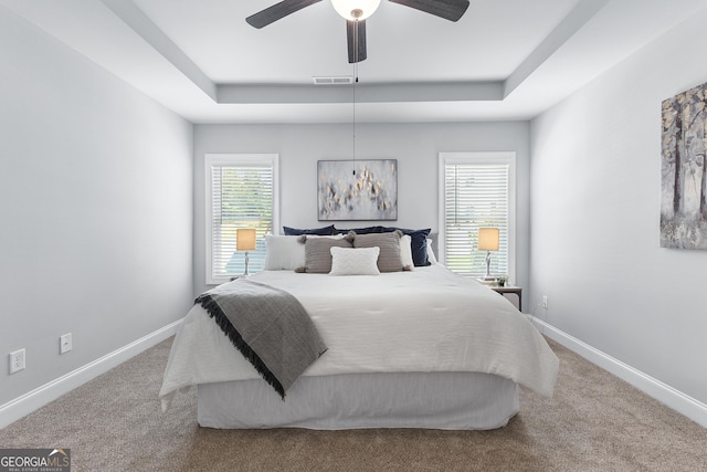 10 Georgian Oaks Ct, Newnan, GA 30265 - bedroom featuring a tray ceiling, carpet, and baseboards