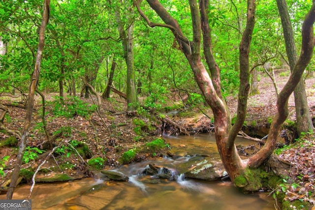 view of nature
