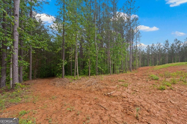 view of woods