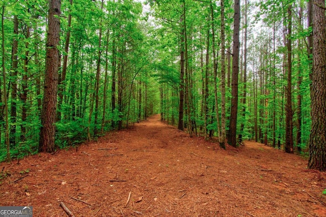 view of woods