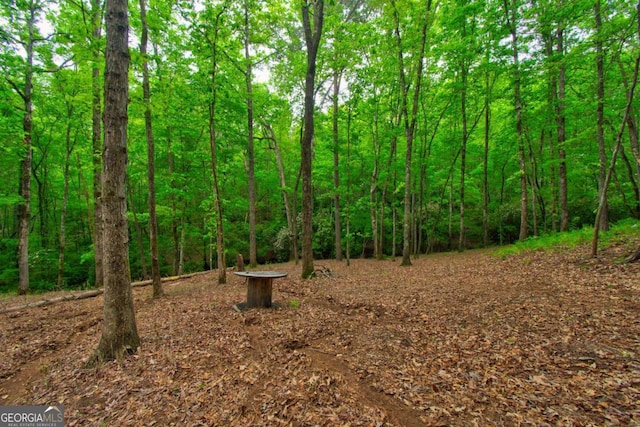 view of tree filled area