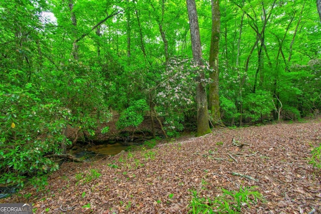 view of tree filled area