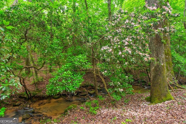 view of undeveloped land