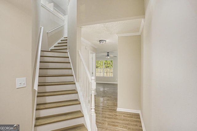 50 Fieldview Ln, Covington, GA 30016 - stairway with ornamental molding, a ceiling fan, a textured ceiling, and wood finished floors