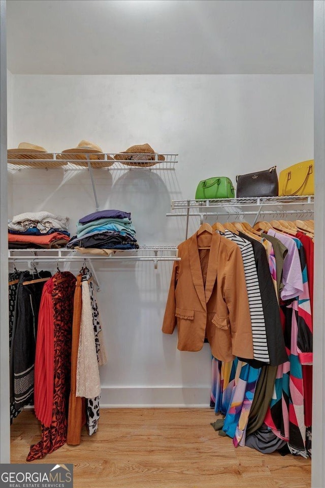 walk in closet featuring wood finished floors