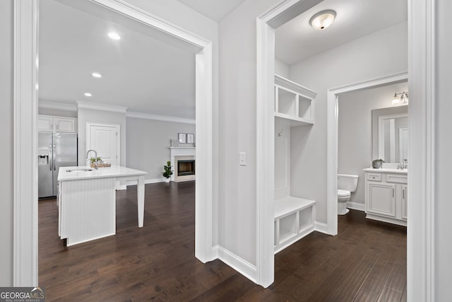 2499 Barrett Preserve Ct SW, Marietta, GA 30064 - mudroom featuring a sink, dark wood-style floors, ornamental molding, baseboards, and a fireplace
