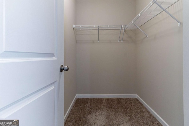 395 Dublin Way, Dallas, GA 30132 - walk in closet featuring carpet floors
