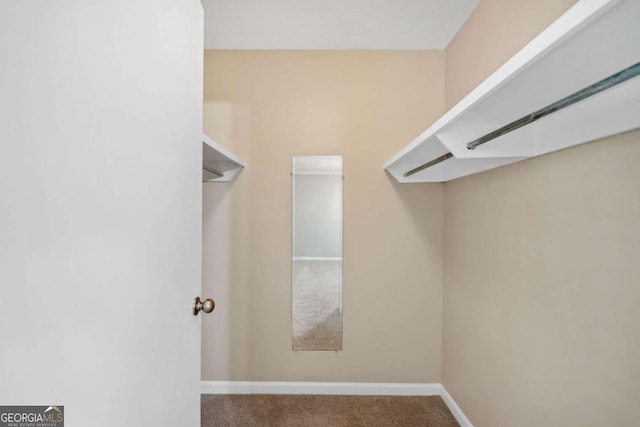3200 Seven Pines Ct Unit 103, Atlanta, GA 30339 - walk in closet with carpet