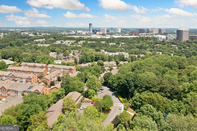 3200 Seven Pines Ct Unit 103, Atlanta, GA 30339 - drone / aerial view