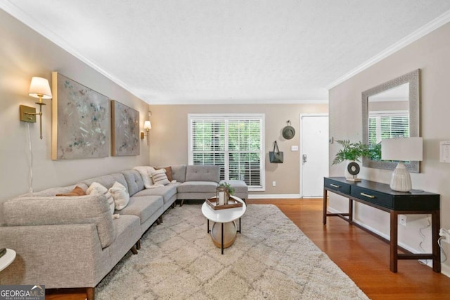 3200 Seven Pines Ct Unit 103, Atlanta, GA 30339 - living room featuring wood finished floors, ornamental molding, and baseboards