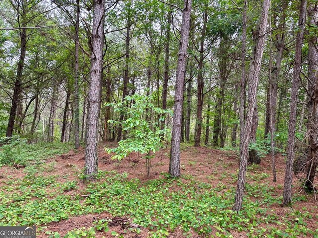 5.3-/ Patriot, Dahlonega, GA 30533