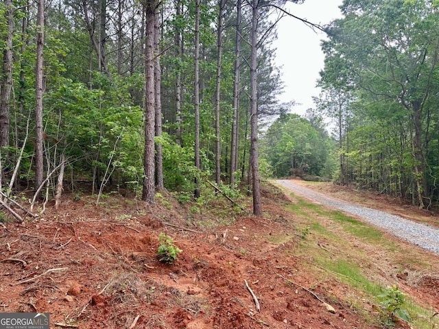5.3-/ Patriot, Dahlonega, GA 30533