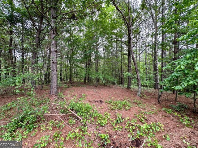 5.3-/ Patriot, Dahlonega, GA 30533