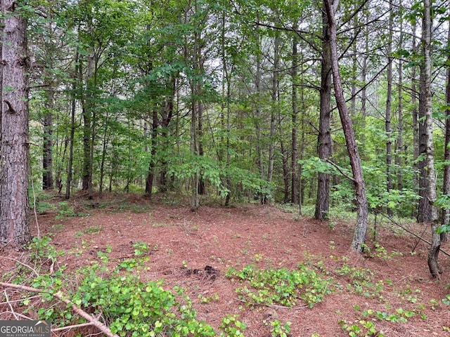 5.3-/ Patriot, Dahlonega, GA 30533
