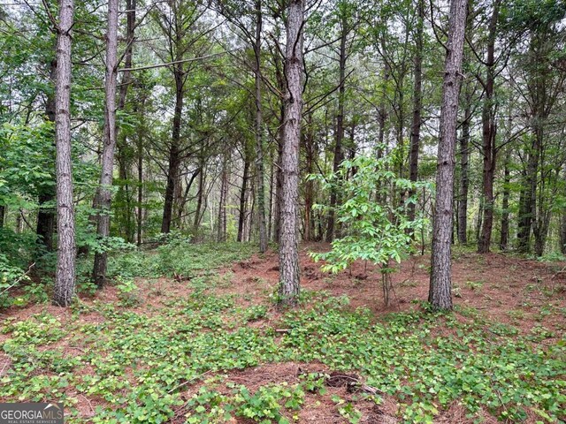 5.3-/ Patriot, Dahlonega, GA 30533