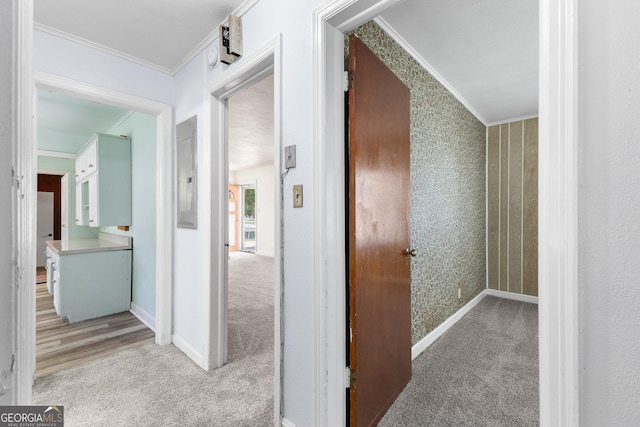 170 Northcrest Dr, Athens, GA 30601 - hall featuring carpet flooring, crown molding, electric panel, and baseboards