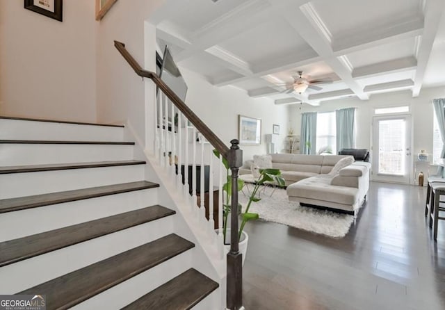 staircase with beam ceiling, wood finished floors, coffered ceiling, and ceiling fan