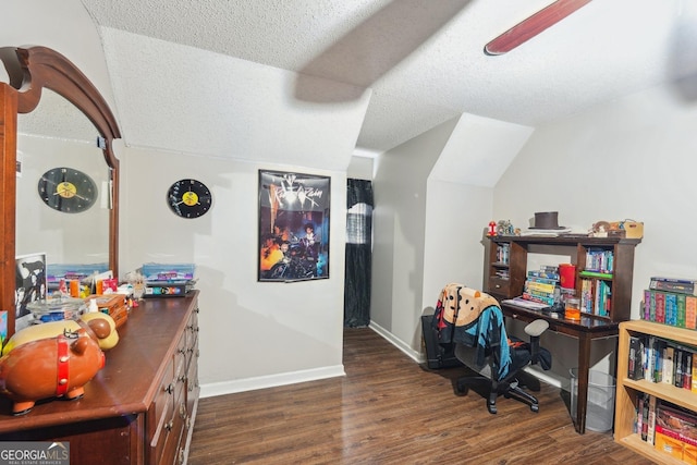 230 Vienna Way, Douglasville, GA 30134 - office area featuring wood finished floors, a textured ceiling, baseboards, and vaulted ceiling