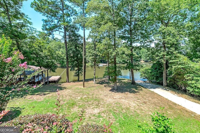 207A Quail Trl, Jackson, GA 30233 - view of yard with a water view