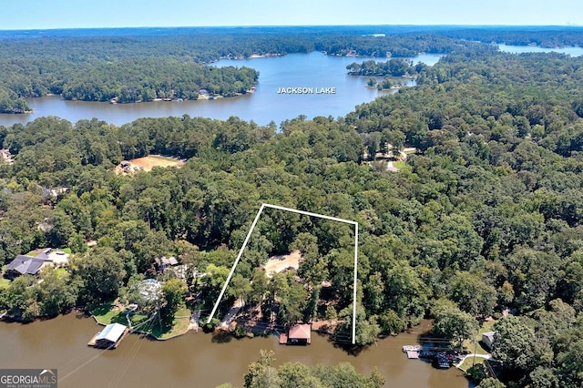 207A Quail Trl, Jackson, GA 30233 - aerial overview of property's location with a heavily wooded area, a nearby body of water, and property boundaries highlighted