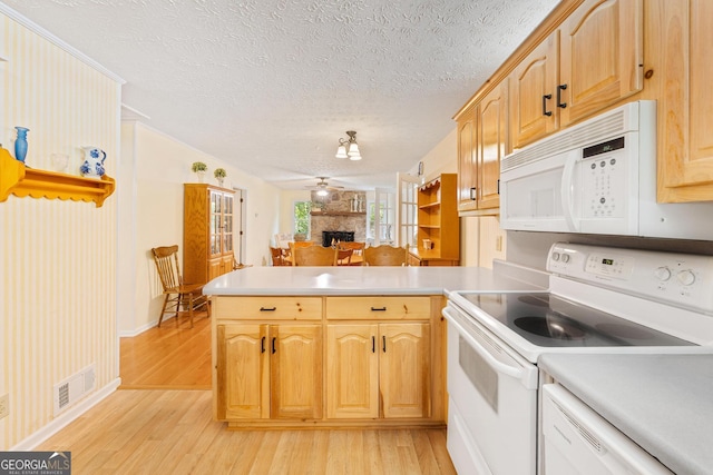 kitchen featuring white appliances, a peninsula, light wood-style floors, a fireplace, and light countertops