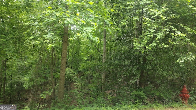0 Pebble Creek Ln # 9, Alto, GA 30510